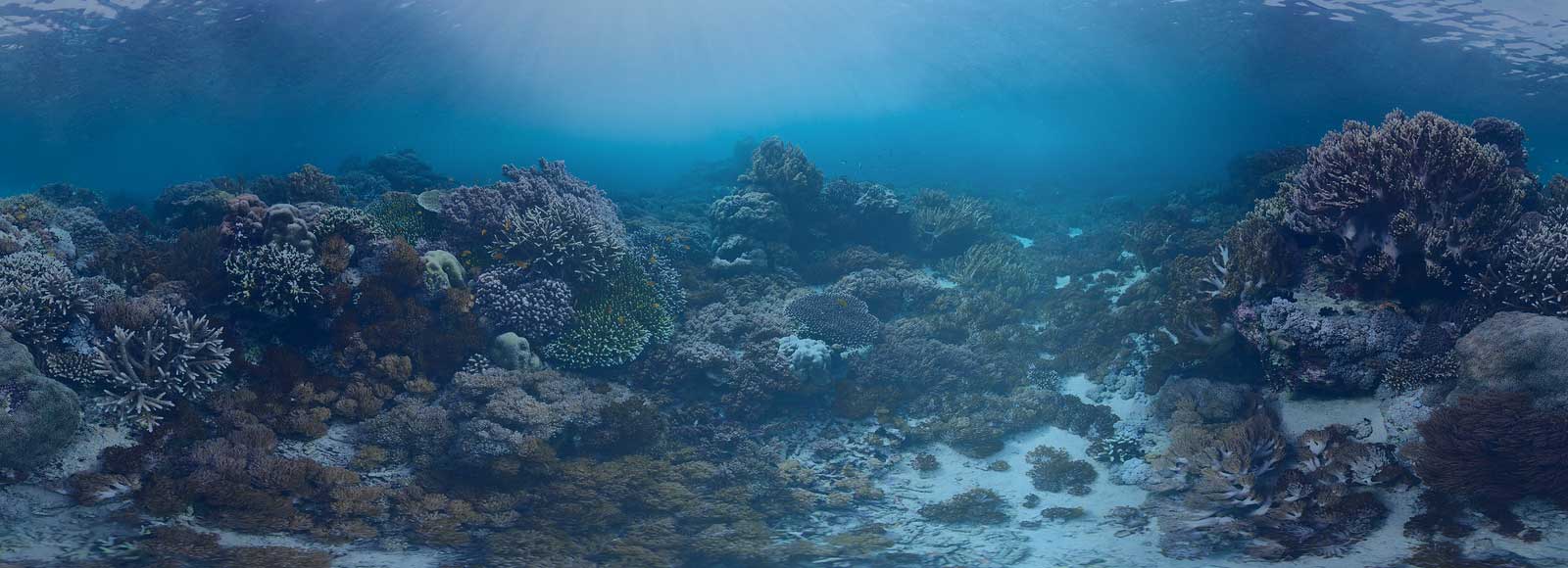 Underwater Background